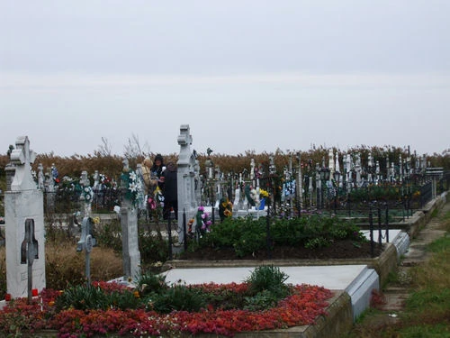 Tomnatic, Timiș Familypedia Fandom