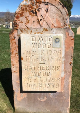 DavidWood1799B