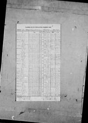 Knudsen-Birger 1945 census Florida