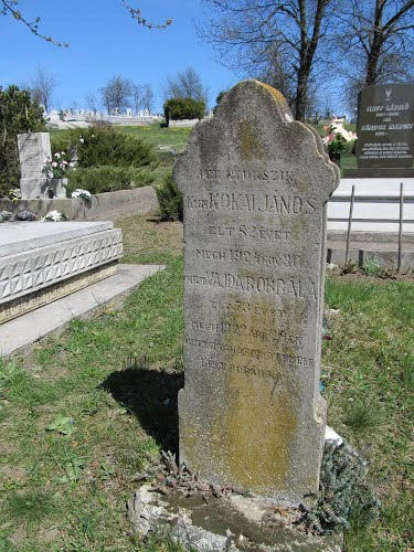 Hegymeg Familypedia Fandom