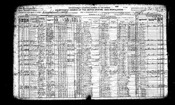 Census of Borgholm Township Mille Lacs County Minnesota 1920 pg25.gif