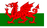 Flag of Wales 2