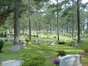 Cemetery Pictures June 19, 2010 001