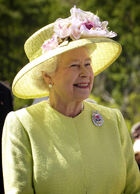 Elderly lady with grey hair is smiling in outdoor setting.