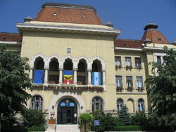 Primaria Targu Mures