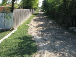 Street in Belciugele