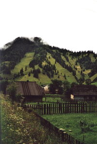 Bucovina1 cristibur