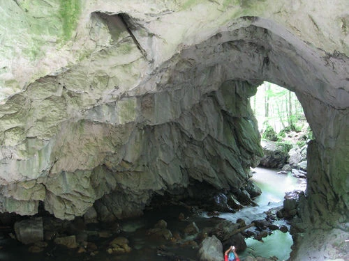 Commune of Bulzeștii de Sus, Hunedoara Familypedia Fandom