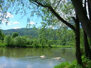 The Poprad River at the border with Poland