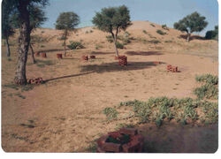 Churu Desert1