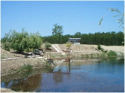 Pond near Homocea