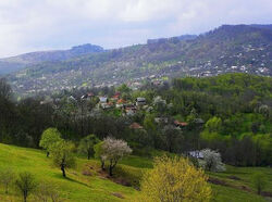 View of Talea