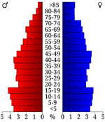 USA Chicot County, Arkansas age pyramid