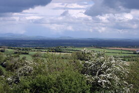 Ireland - Plains of South Kildare