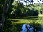 Scarlet Oak Pond