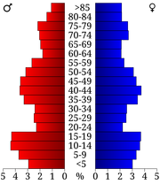 USA Rock County, Minnesota age pyramid