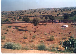 Churu Desert