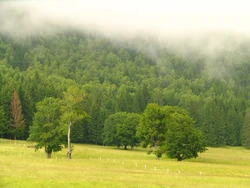 Landscape around Lake Sfânta Ana, southern Harghita County