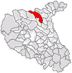 Location of Fitionești in Vrancea County