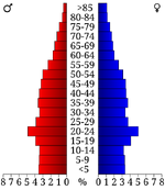 USA Craighead County, Arkansas age pyramid