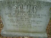 C053 salter b id200352.jpg