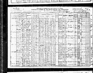 1910 US census