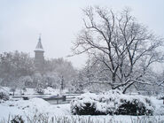 Iarna in Timisoara