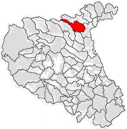 Location of Păunești in Vaslui County