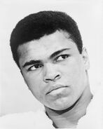 Muhammad Ali NYWTS