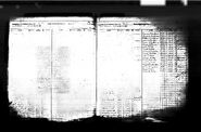 1892 census Curlhair