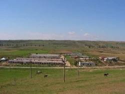 Farm in Gohor