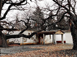 Ruins of Wamosher Mansion