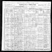 1900 census Gelchion Dermody.jpg (2.11 MB) 1900 census living at 56 Rose Avenue