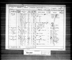 1891 Census.jpg