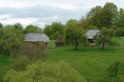 Aspra Maramures