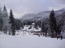 Cavnic Maramures