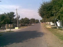Street in Movileni