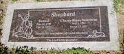Sshepherd2019.jpg