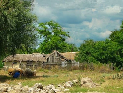 Old farm house in Berteștii de Jos
