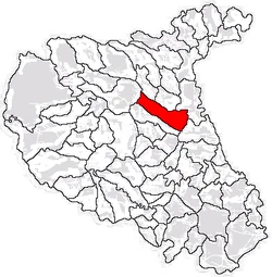 Location of Țifești in Vaslui County