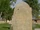 Asa Starkweather Calkins (1809-1873)