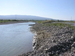 The Putna River in Bolotești