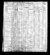 1870 census