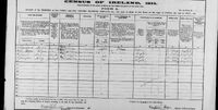 1911 census Conboy Hogan Ireland