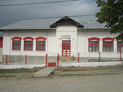 Elementary school of Dâmbu