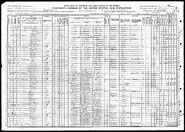 Caro-Max 1910 census