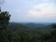 The Daniel Boone National Forest.