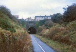 Old railway, above where George Burgess was born in 1829, now cycle track, Staple Hll, Bristol