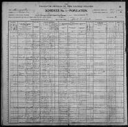 Census of Lake Township Wabasha County Minnesota 1900 pg04