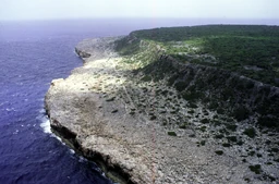 none Aerial view of the east coast